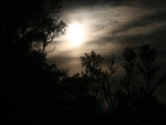 cache_2976070304